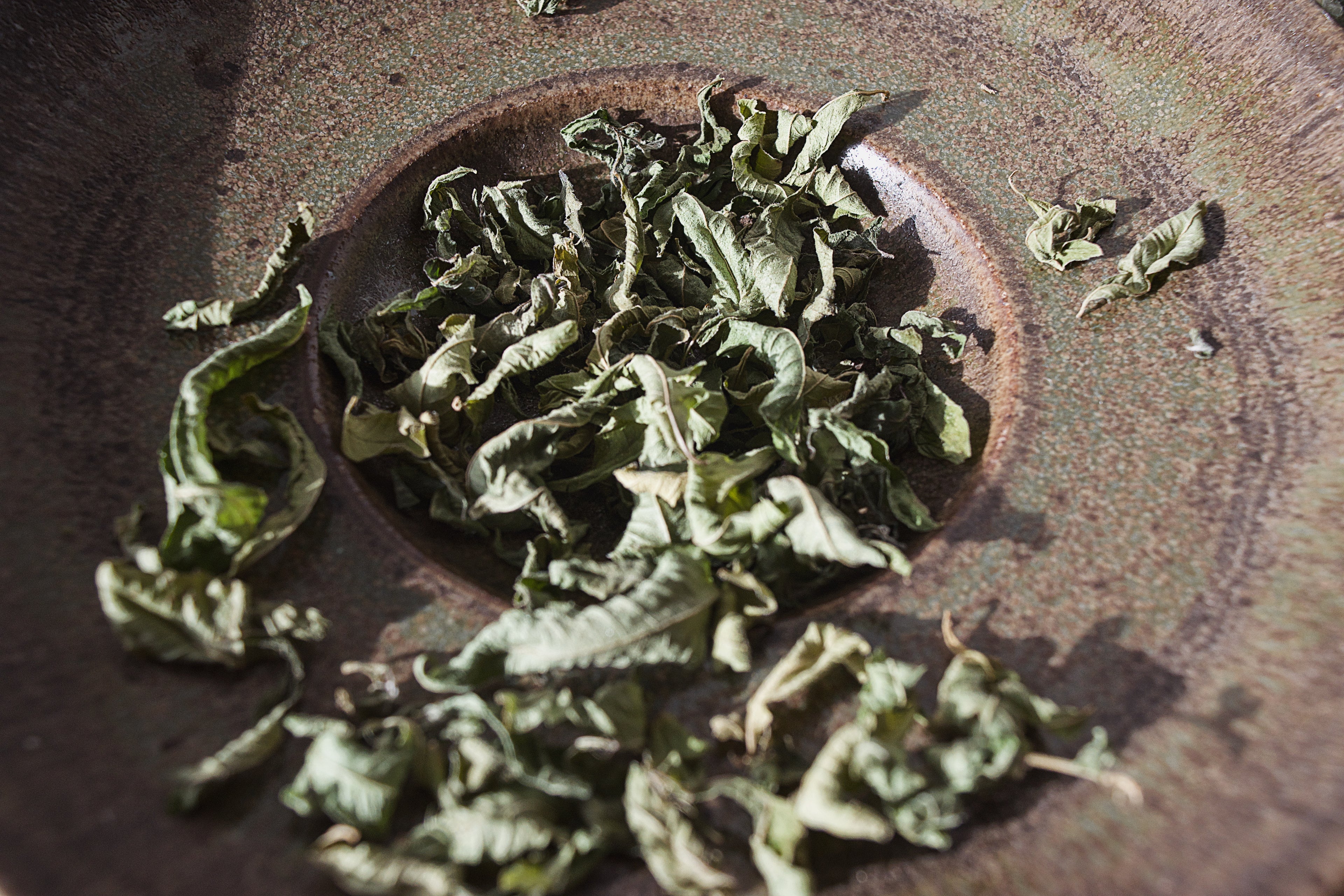 Lemon Verbena