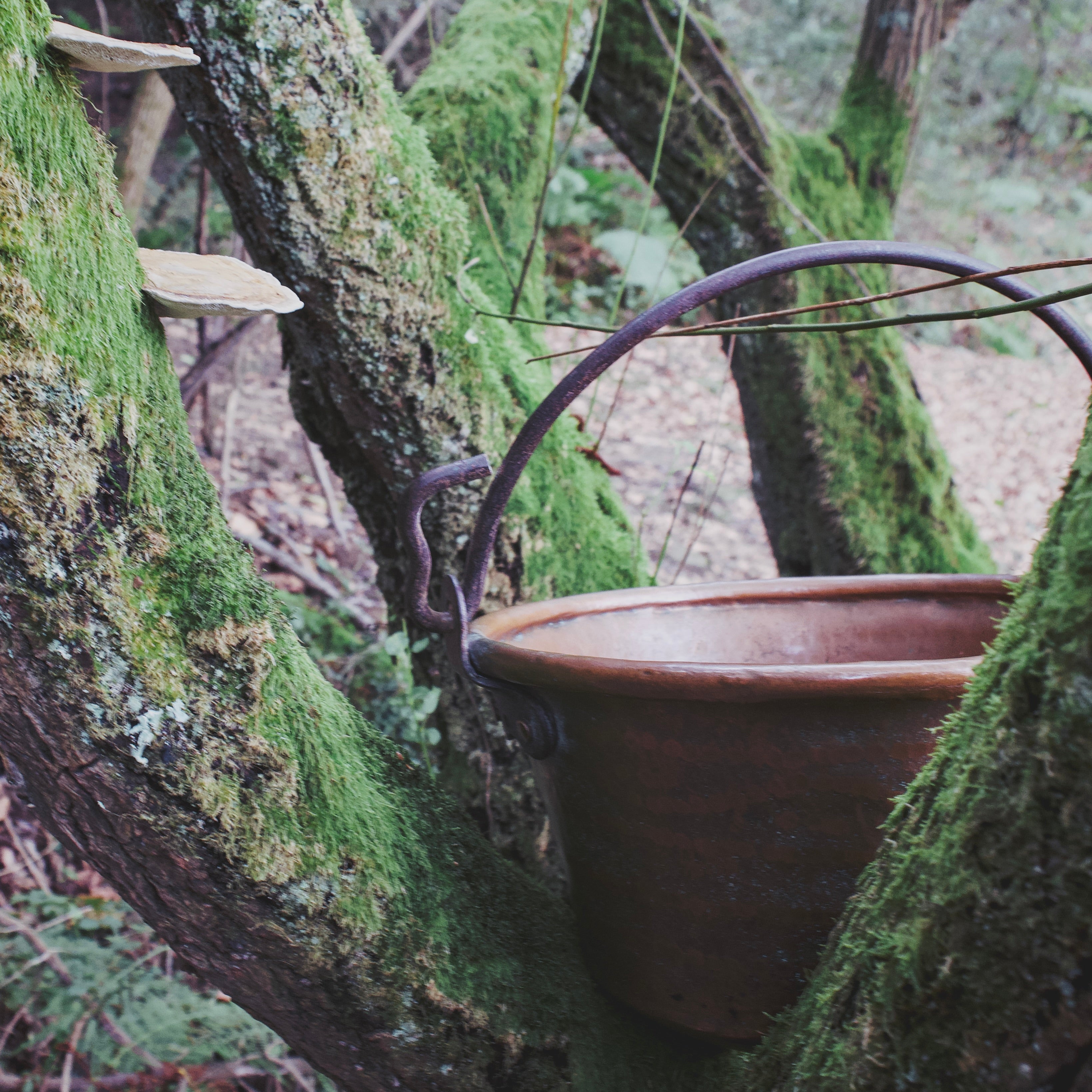 Majestic 19th Century French Hand-Forged Hanging Copper Cauldron — Heavy-Gauge, Hammered, and Born of the Old World Hearth
