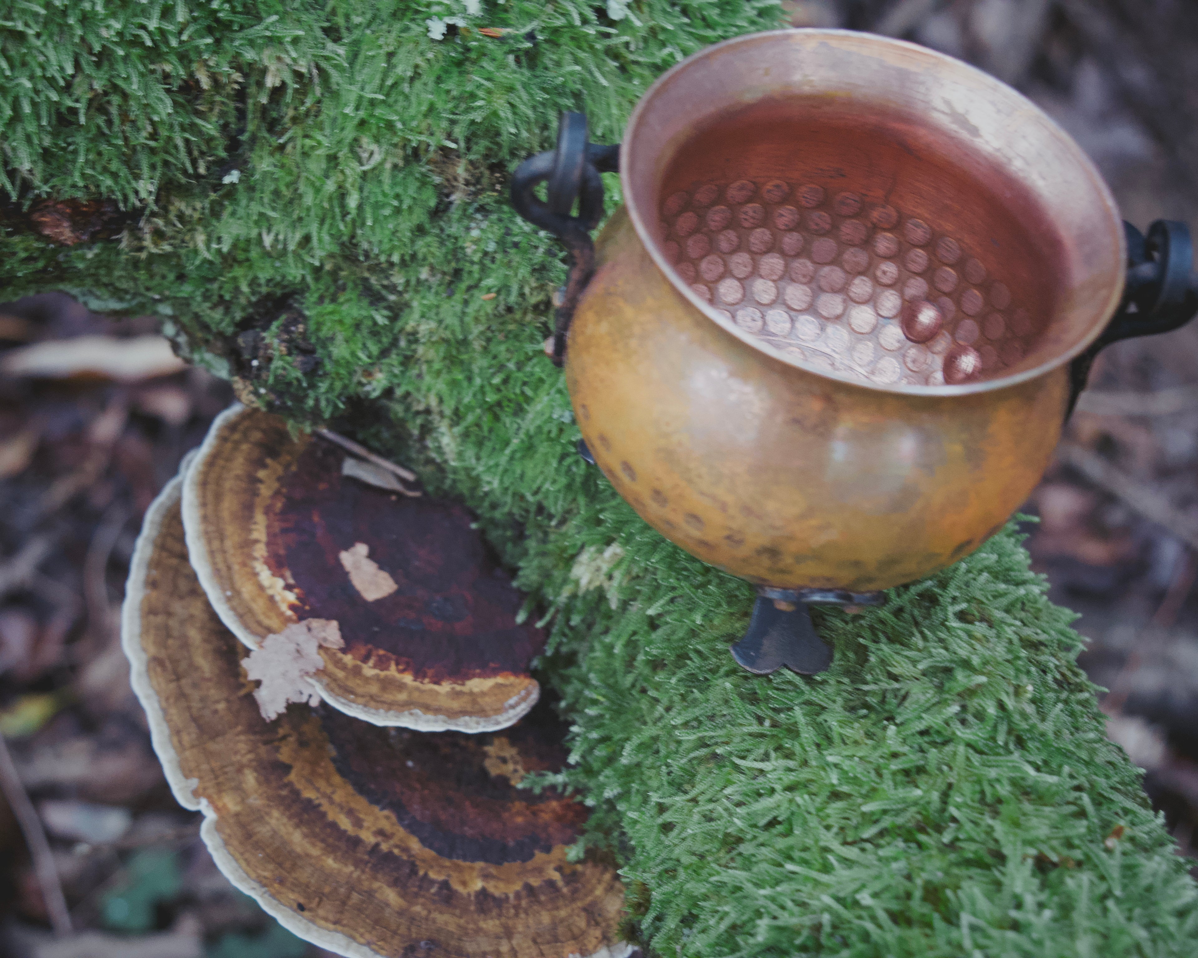 Miniature French Copper Cauldron — Wrought-Iron Handle, Portable Ritual Vessel, Timeless Curved Form