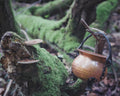 Diminutive yet Iconic French Copper Cauldron — Wrought-Iron Handle, Hammered Copper,  Archetypal Curved Form