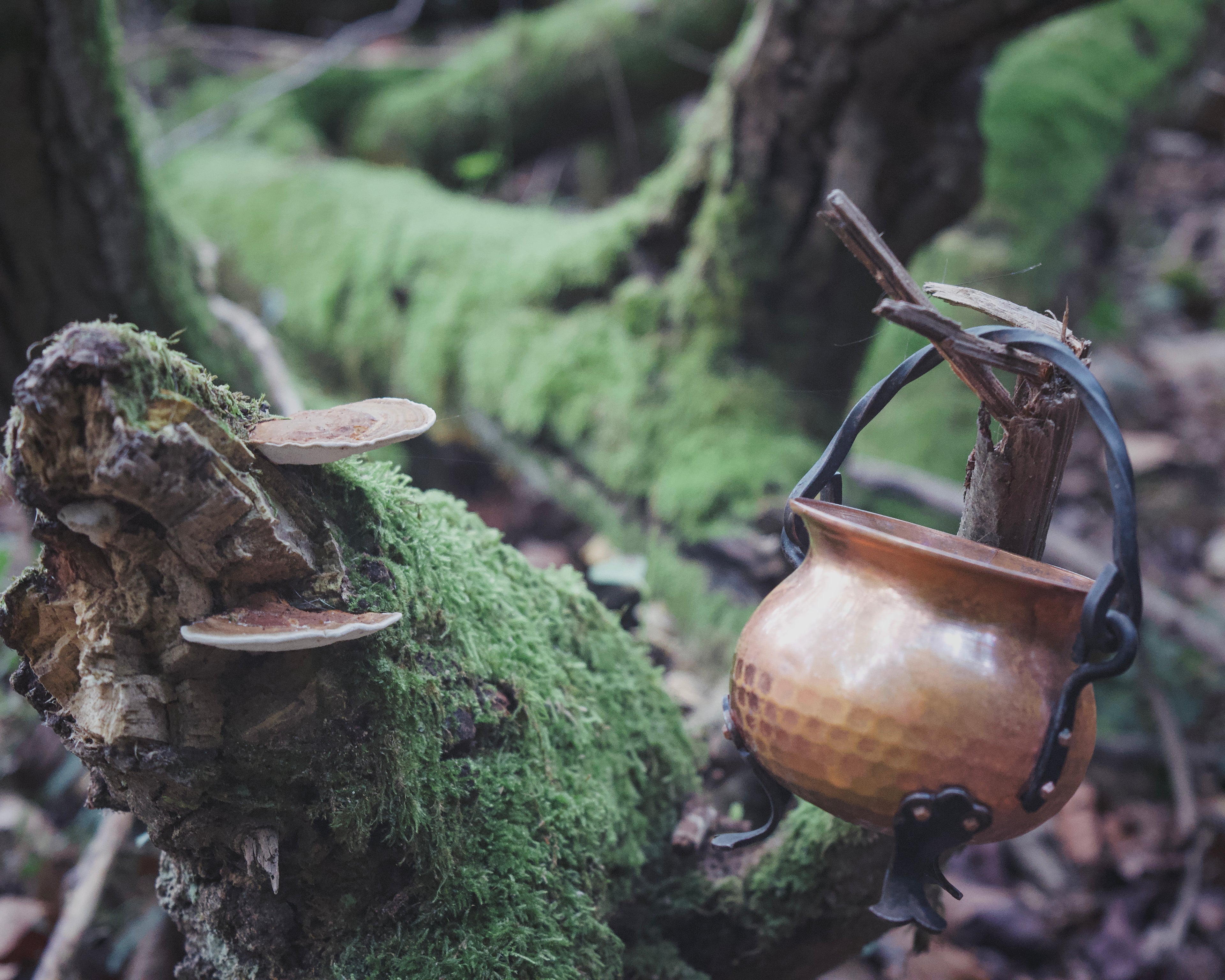 Miniature French Copper Cauldron — Wrought-Iron Handle, Portable Ritual Vessel, Timeless Curved Form
