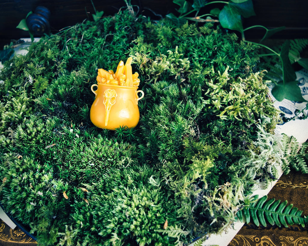 Crystal Skull Cauldron