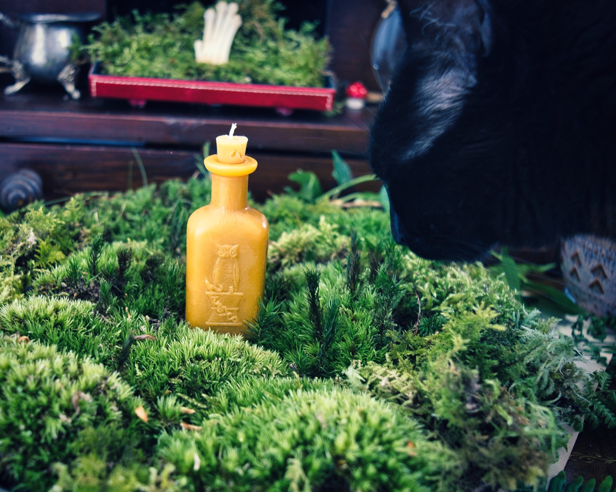 Petite Apothecary Potion Bottle Candle with Owl