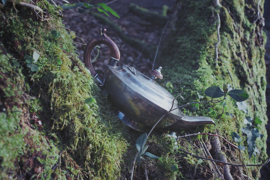 Parisian Silver Genie Lamp – Mythical Ceremonial Vessel