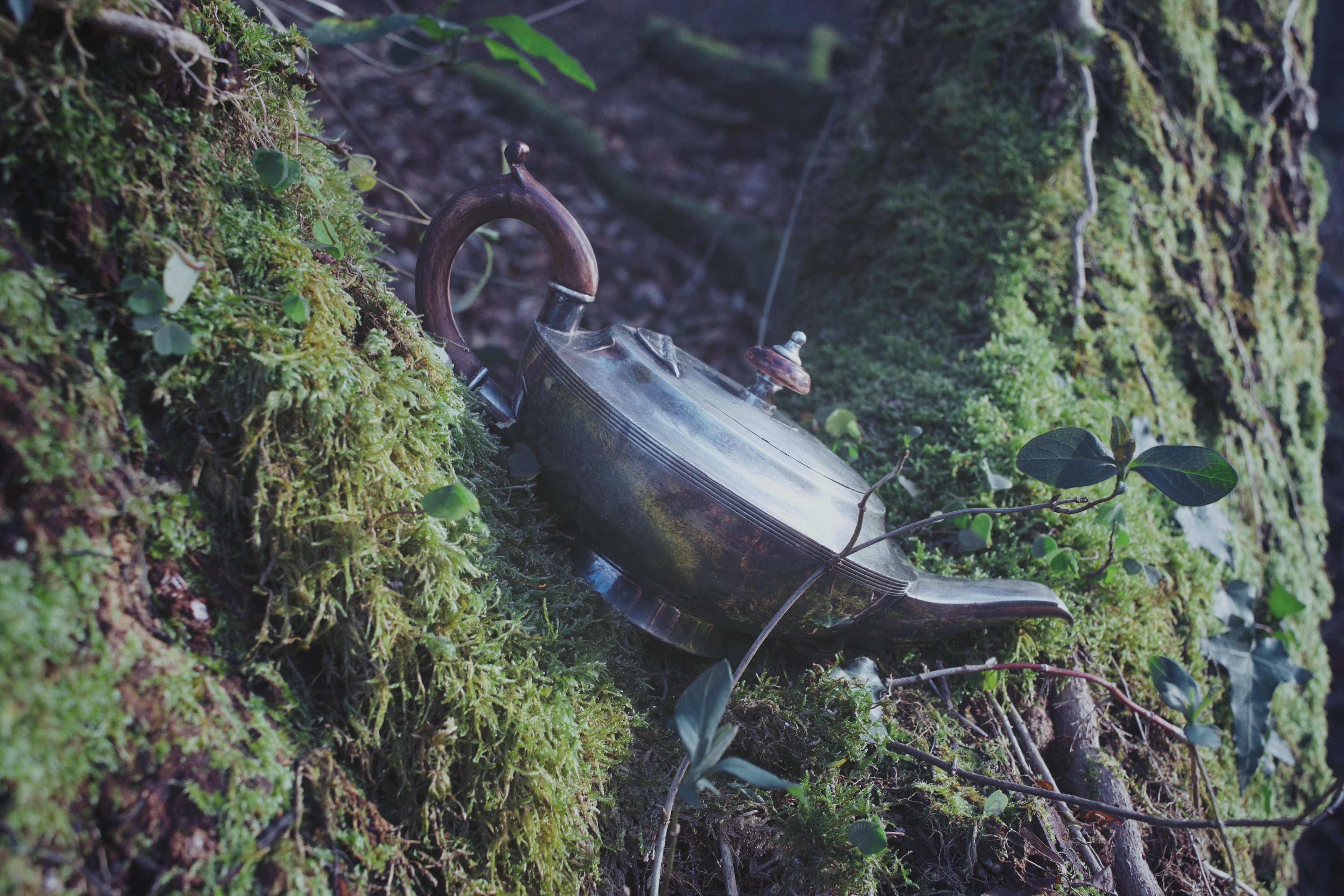Parisian Silver Genie Lamp – Mythical Ceremonial Vessel