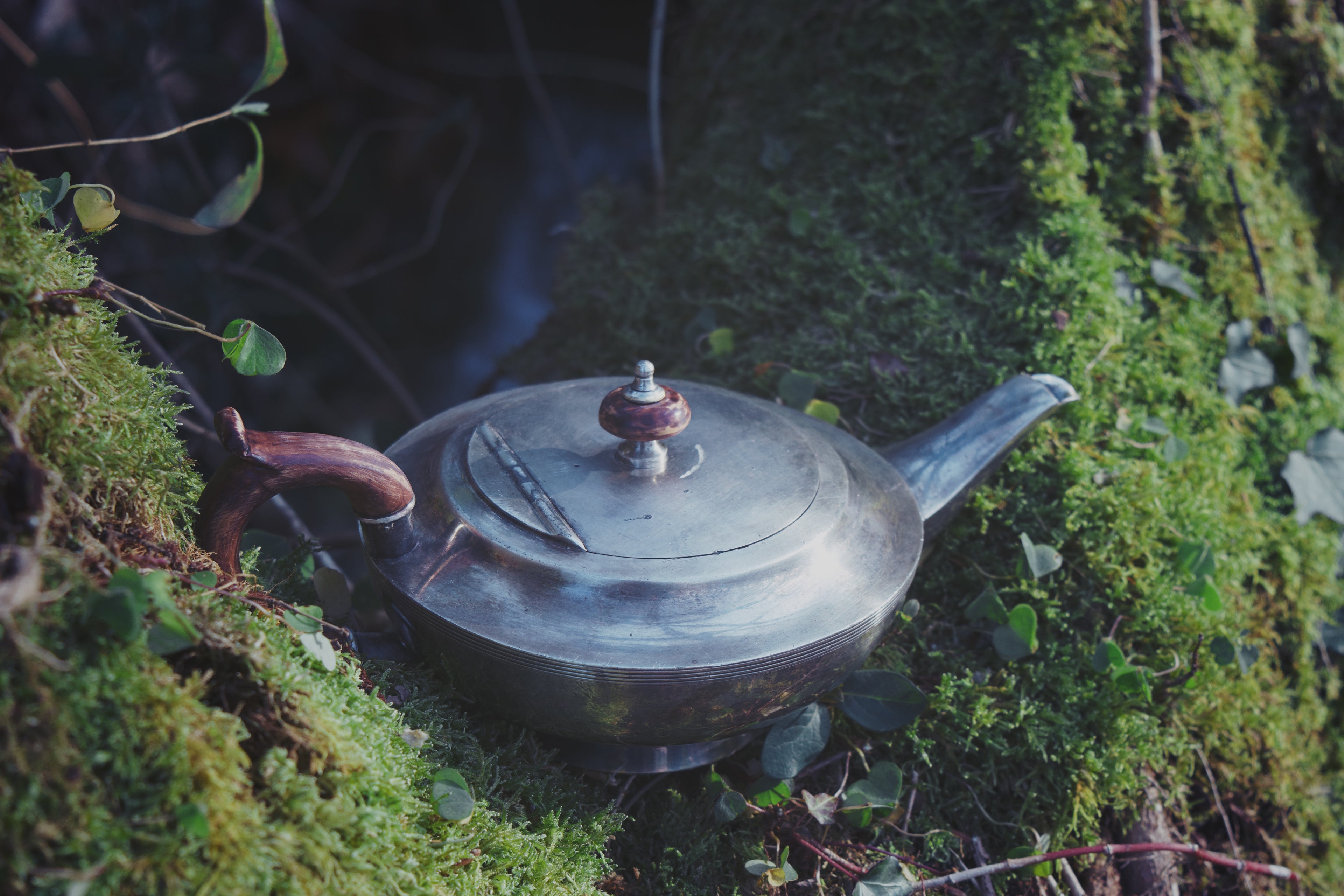Parisian Silver Genie Lamp – Mythical Ceremonial Vessel