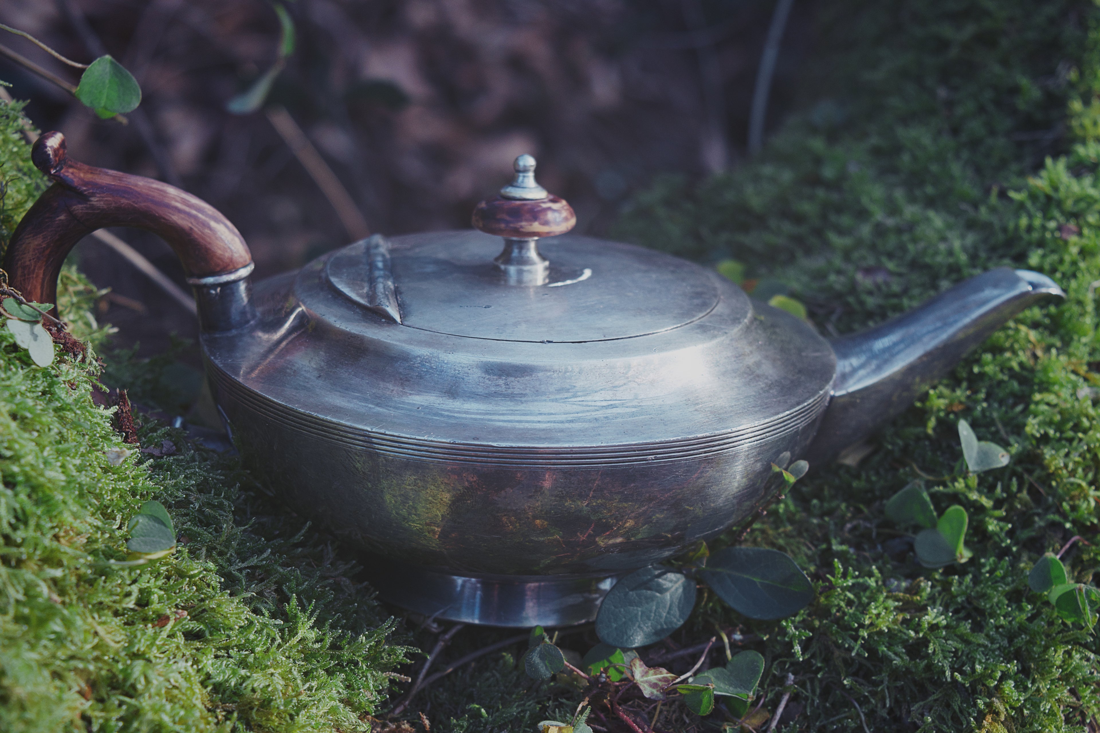 Parisian Silver Genie Lamp – Mythical Ceremonial Vessel