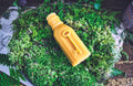 Large Honeyjar wtih Skeleton Key