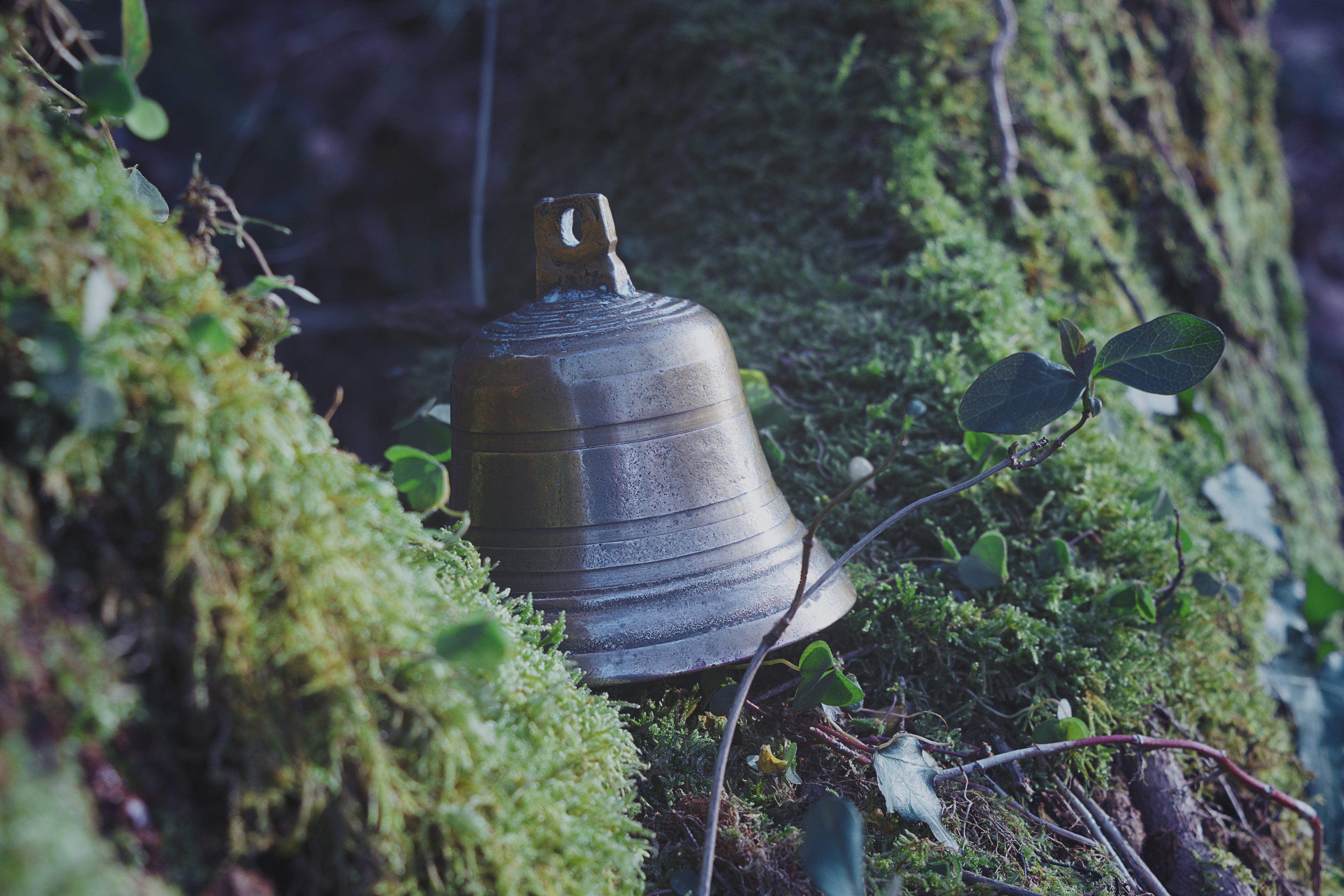 Witch’s Bell in Brass – Tuned Ritual Chime (No. 9)