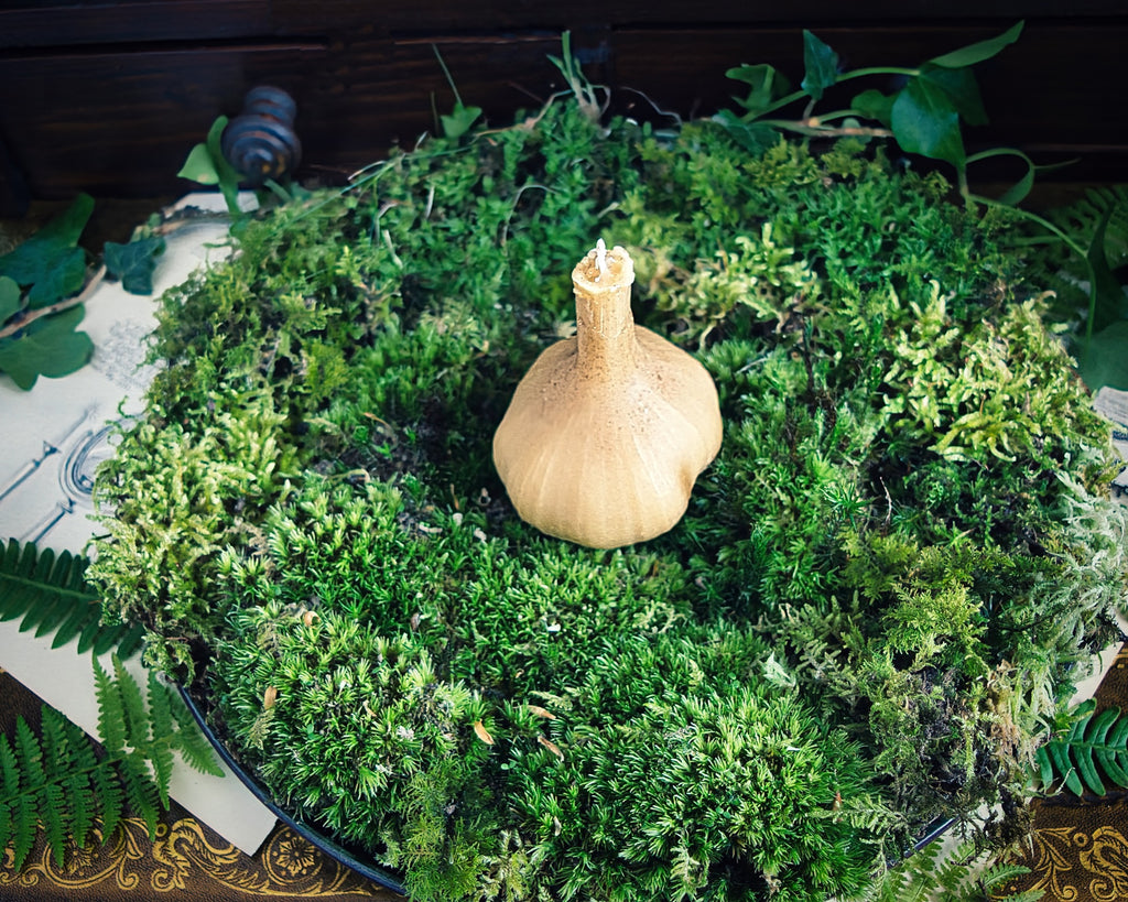 Hekate's Garlic Bulb Candle