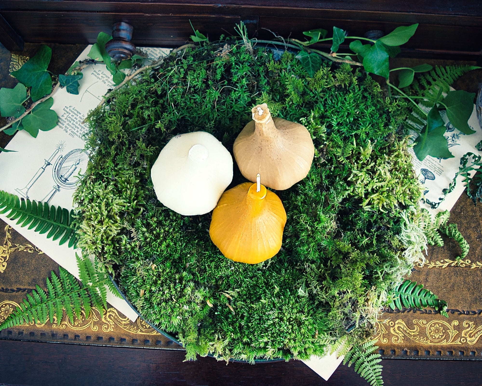Hekate's Garlic Bulb Candle