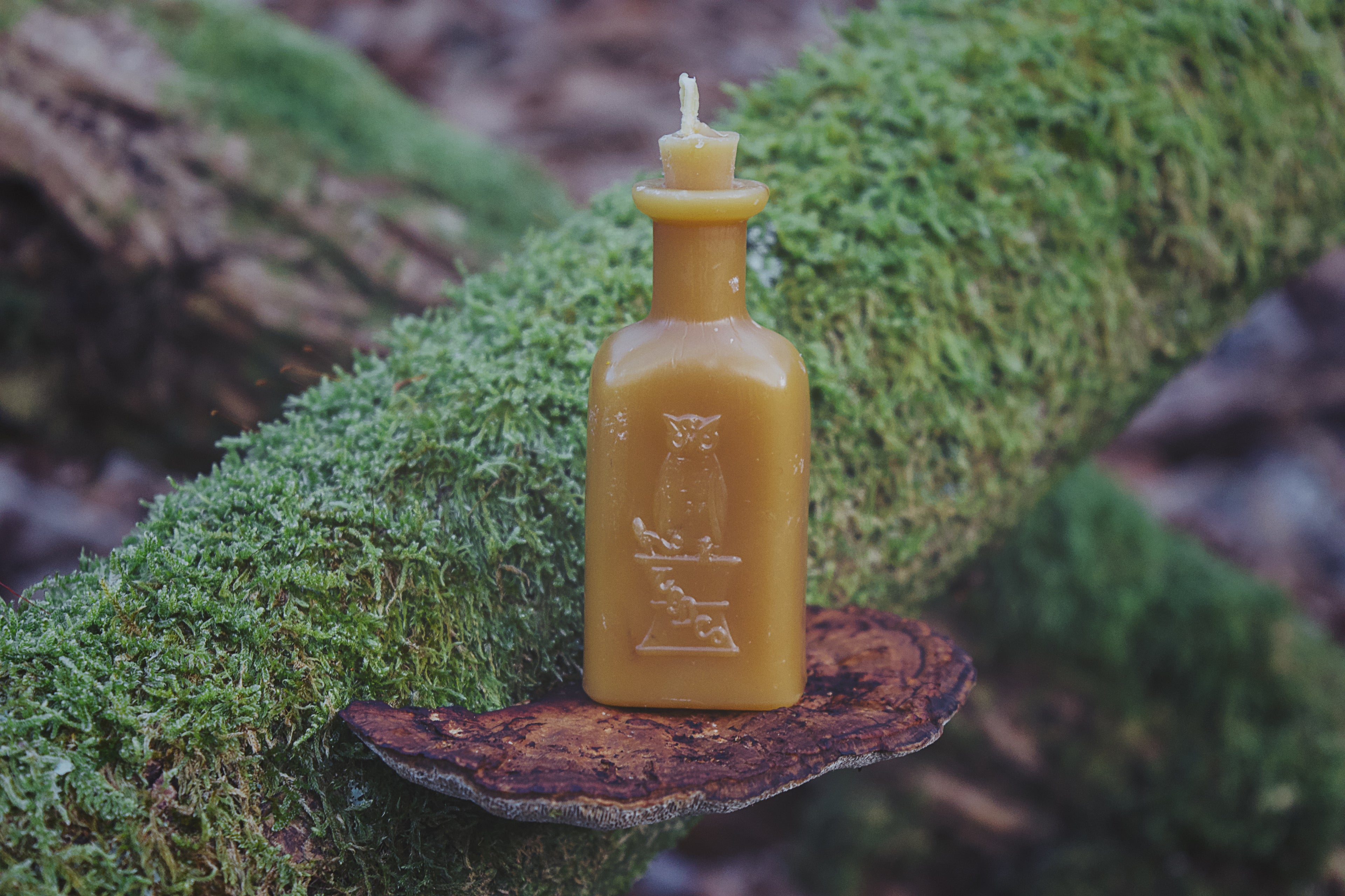 Petite Apothecary Potion Bottle Candle with Owl