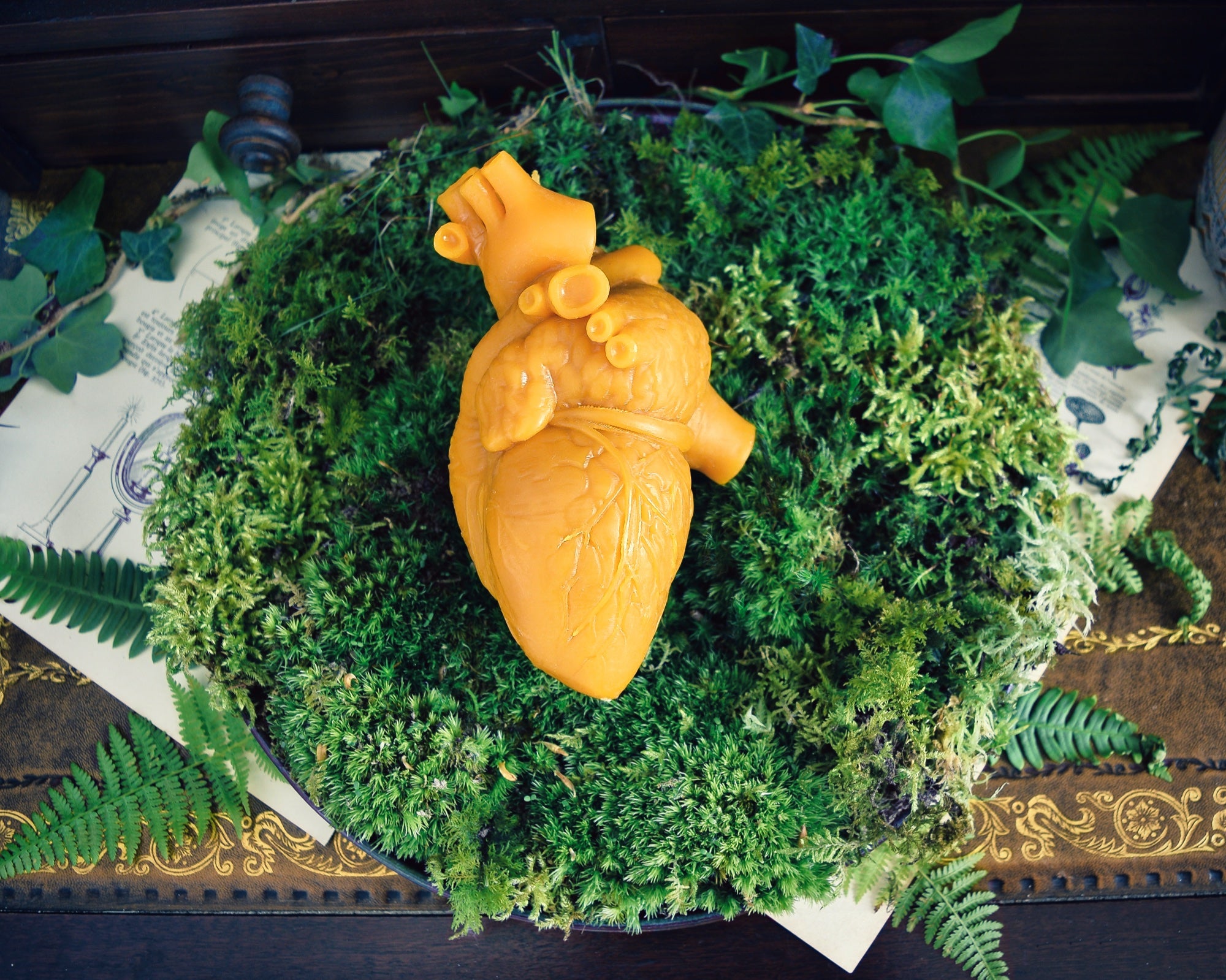 Cor Vitae Lifesized Heart Candle