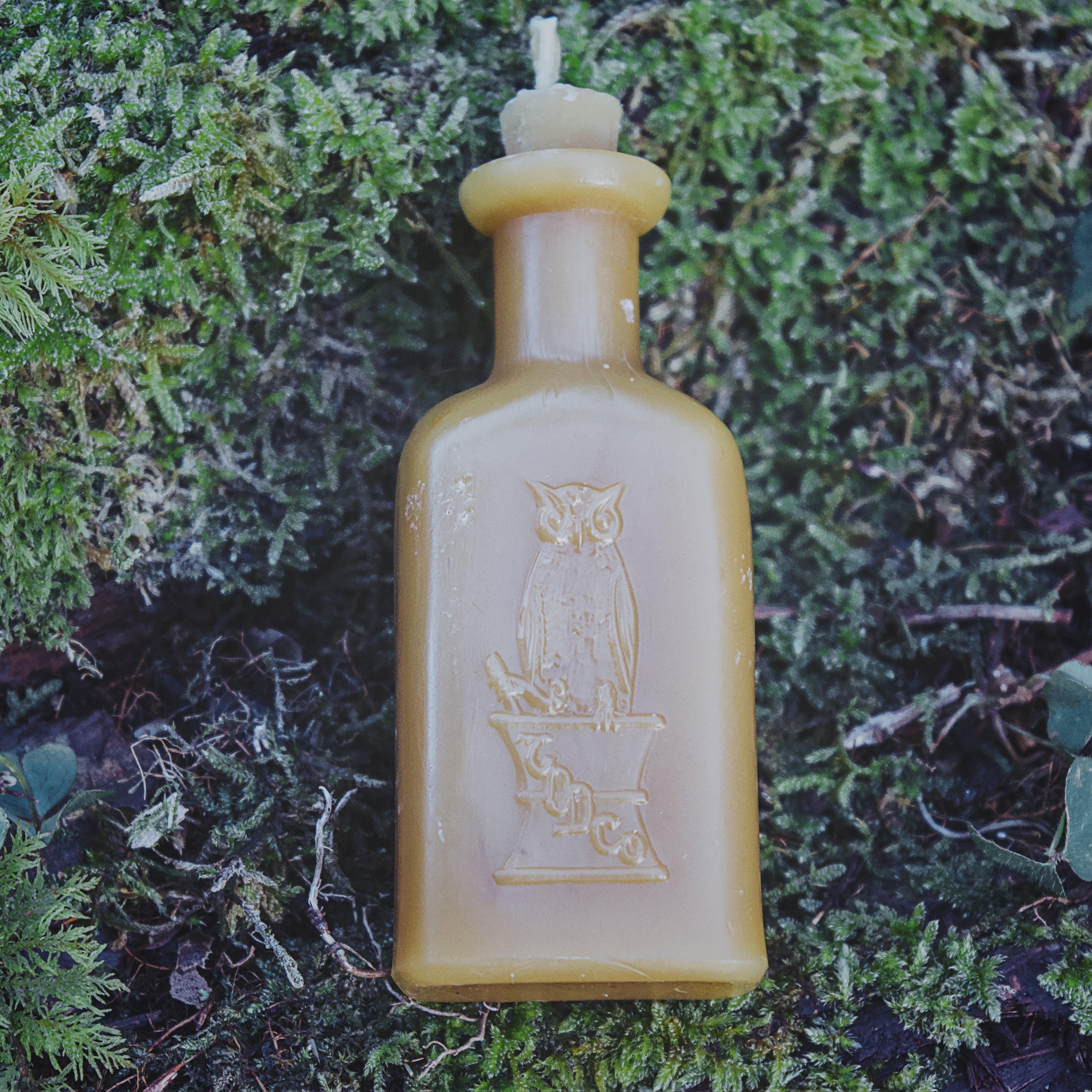Petite Apothecary Potion Bottle Candle with Owl