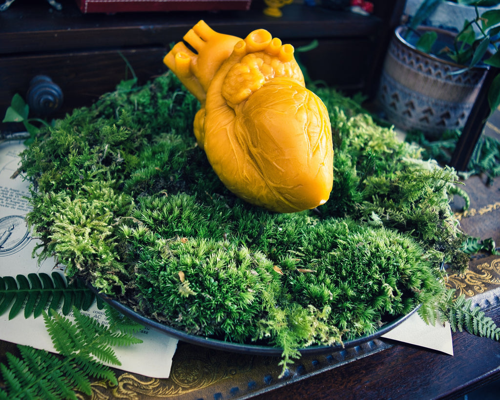 Cor Vitae Lifesized Heart Candle