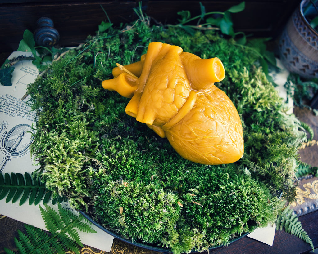 Cor Vitae Lifesized Heart Candle