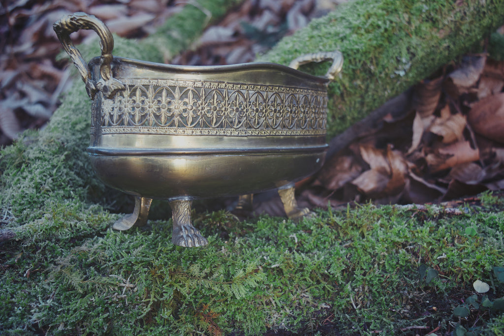 Bronze Clawed Basket – Fleur-de-Lis Curio Vessel