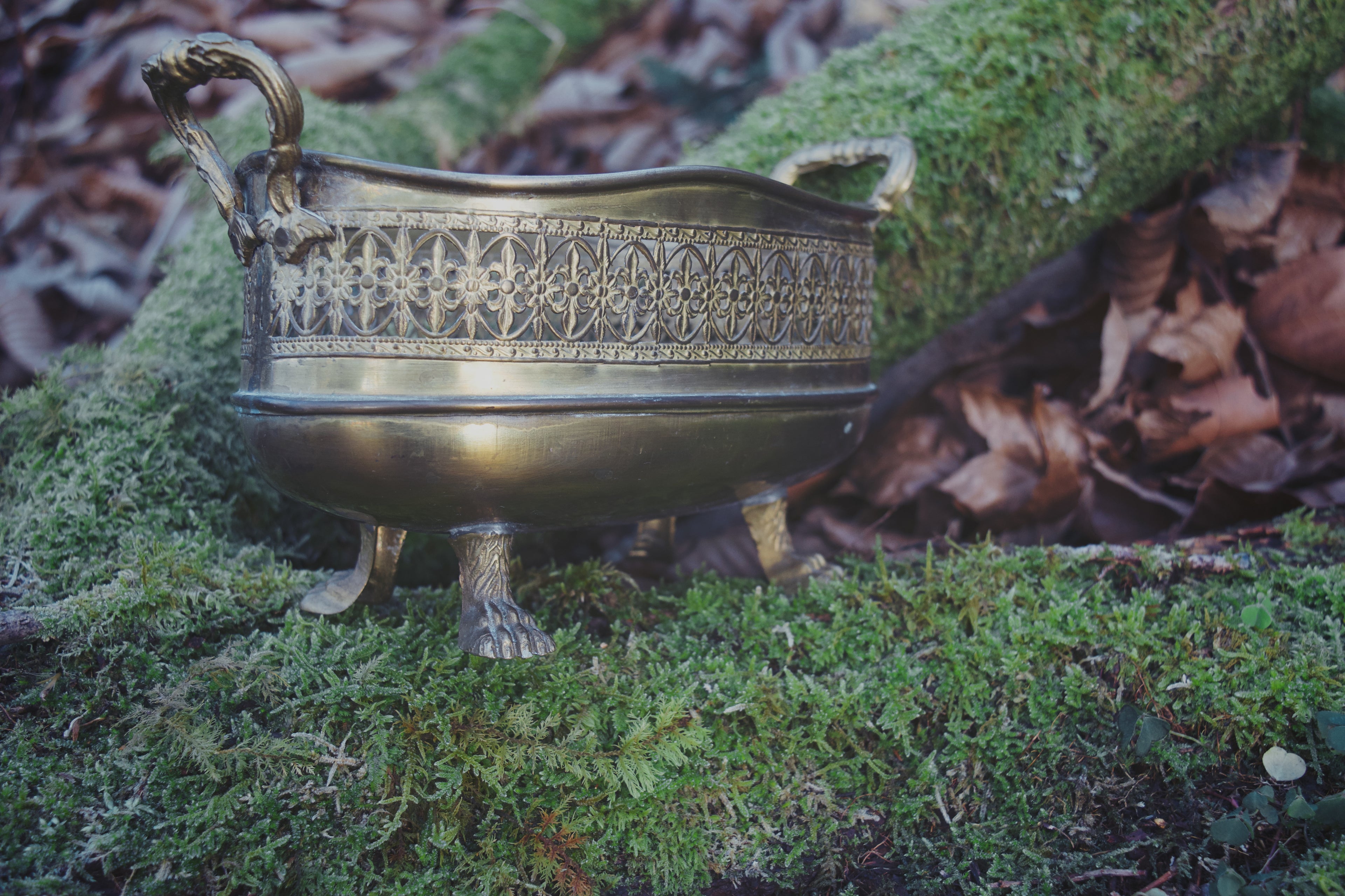 Bronze Clawed Basket – Fleur-de-Lis Curio Vessel