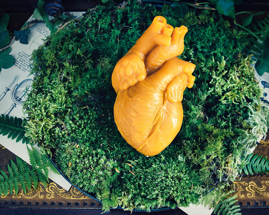 Cor Vitae Lifesized Heart Candle
