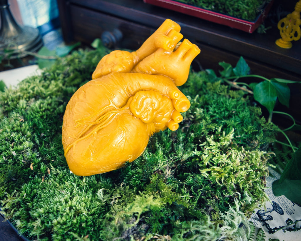 Cor Vitae Lifesized Heart Candle