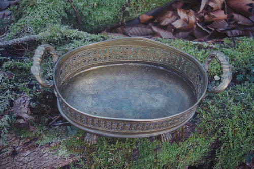 Bronze Clawed Basket – Fleur-de-Lis Curio Vessel