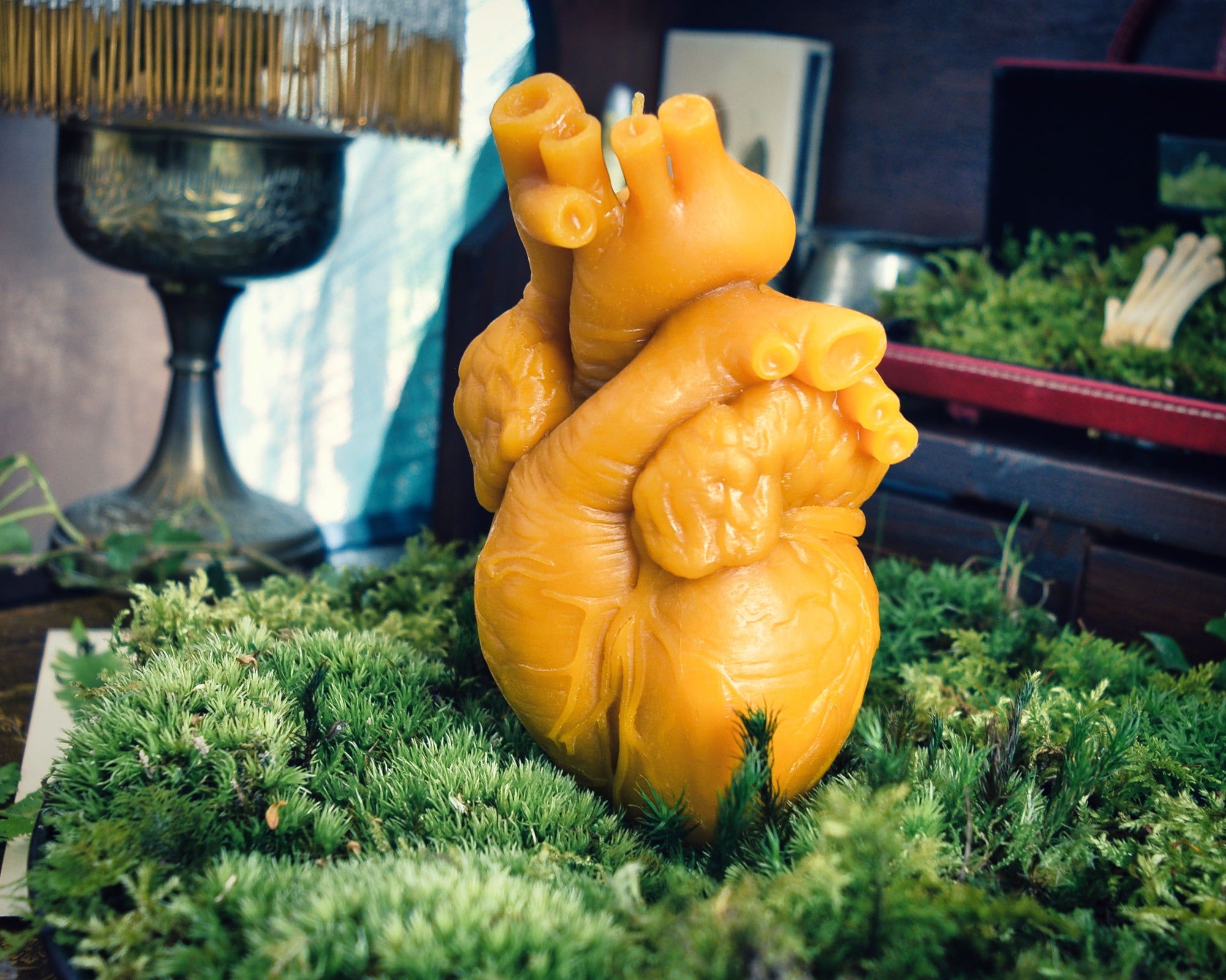 Cor Vitae Lifesized Heart Candle