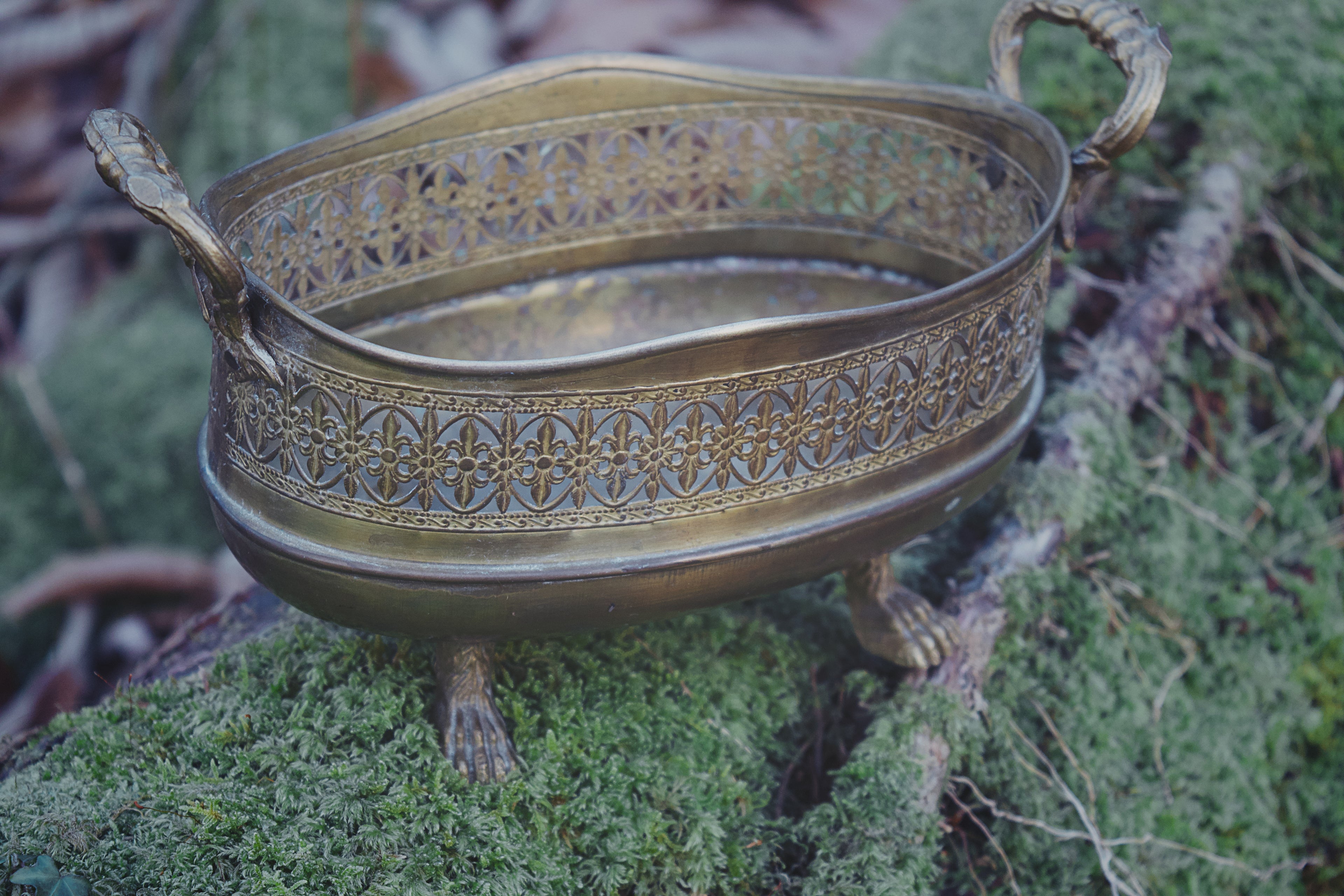 Bronze Clawed Basket – Fleur-de-Lis Curio Vessel