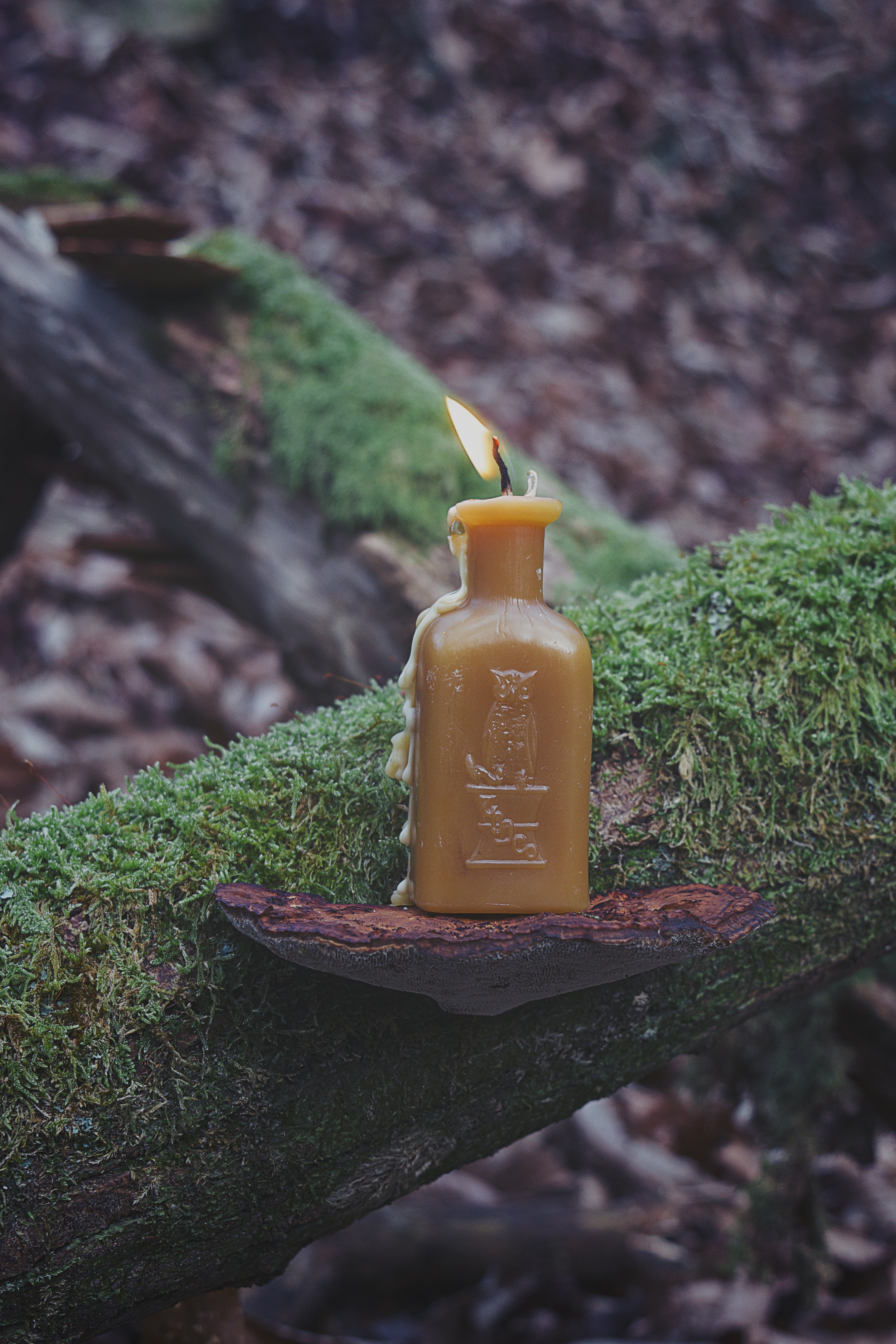Petite Apothecary Potion Bottle Candle with Owl