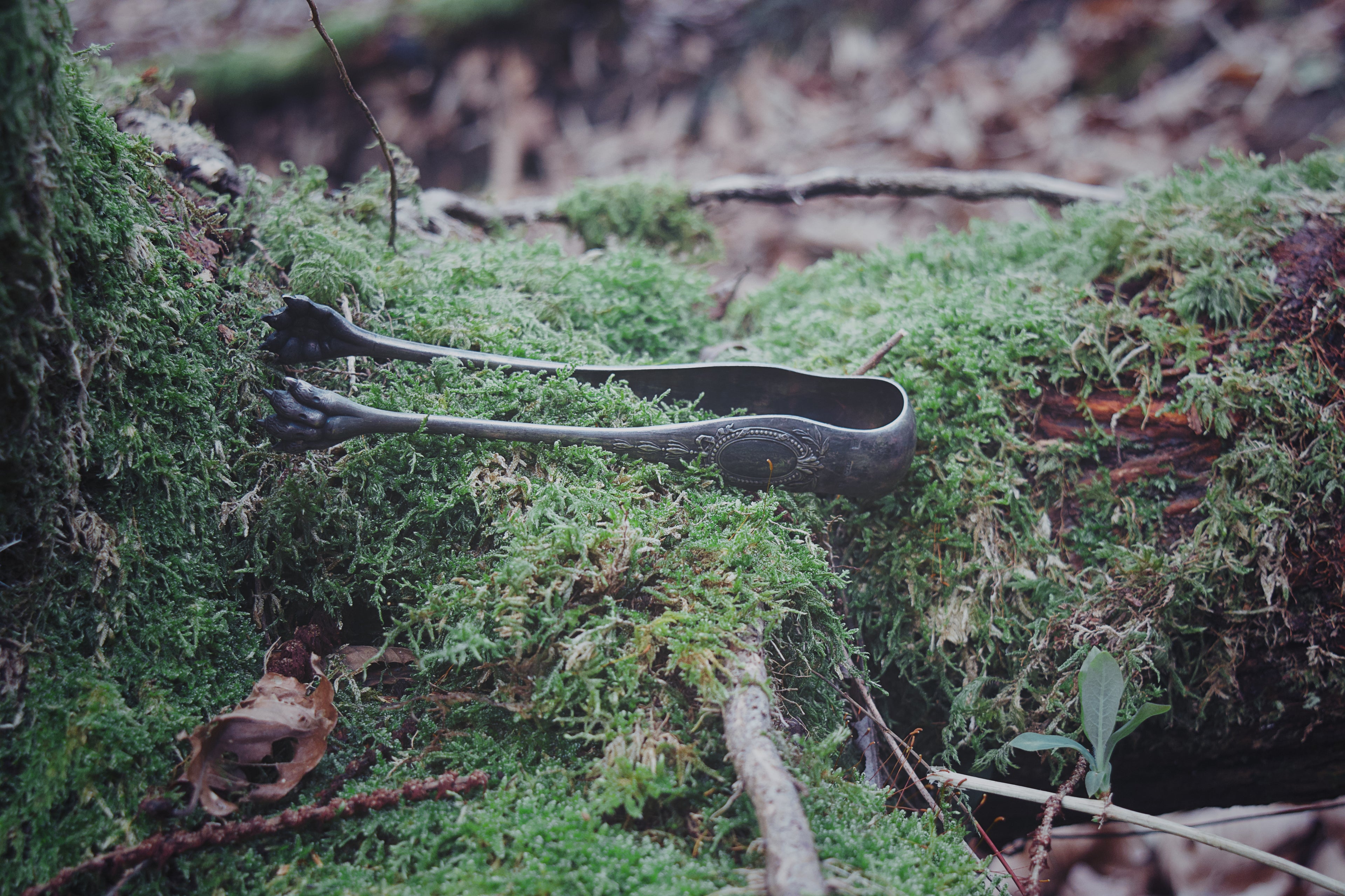 Lion Paw Ceremonial Pincers – Antique Silver Curio with Embossed Claws