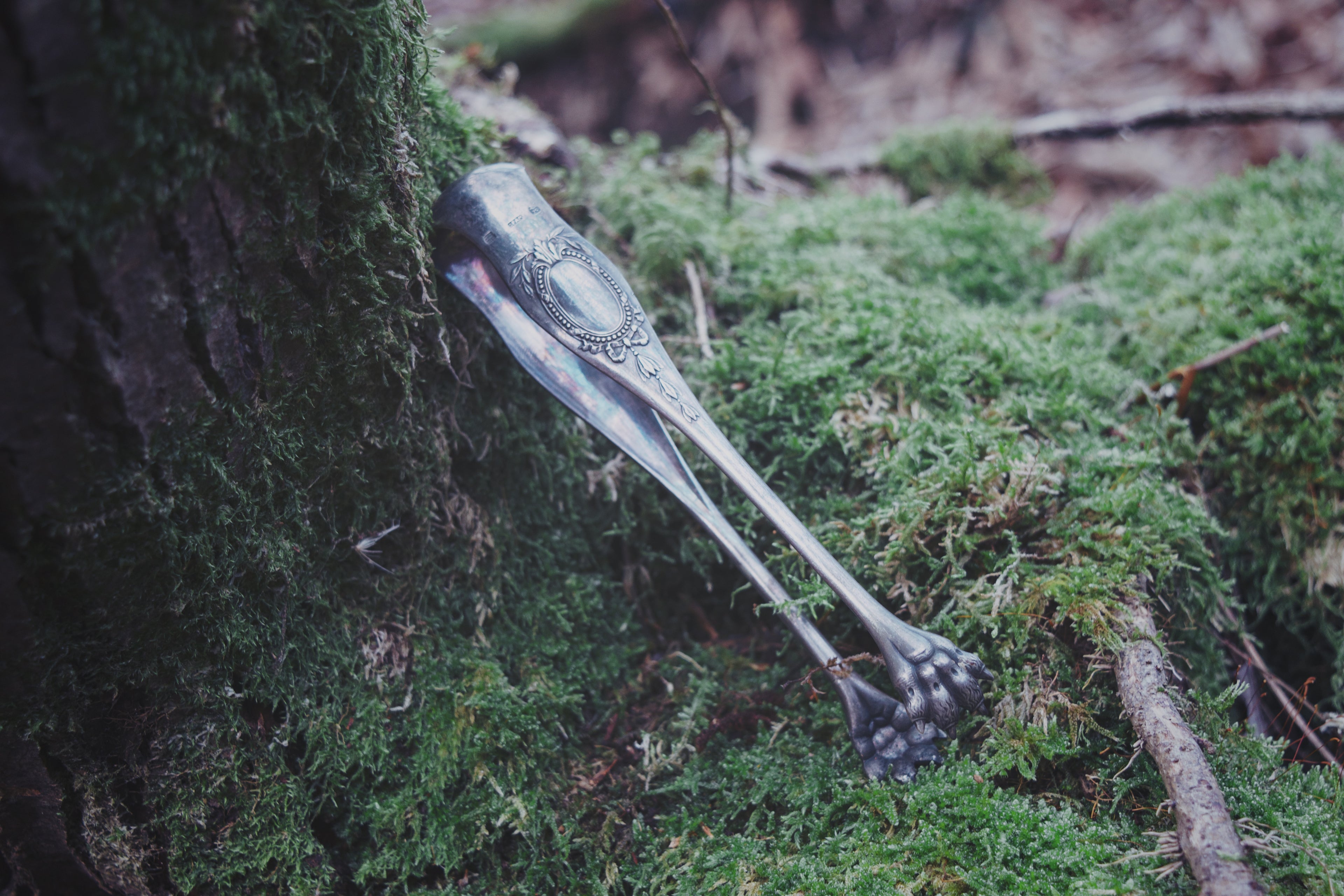 Lion Paw Ceremonial Pincers – Antique Silver Curio with Embossed Claws