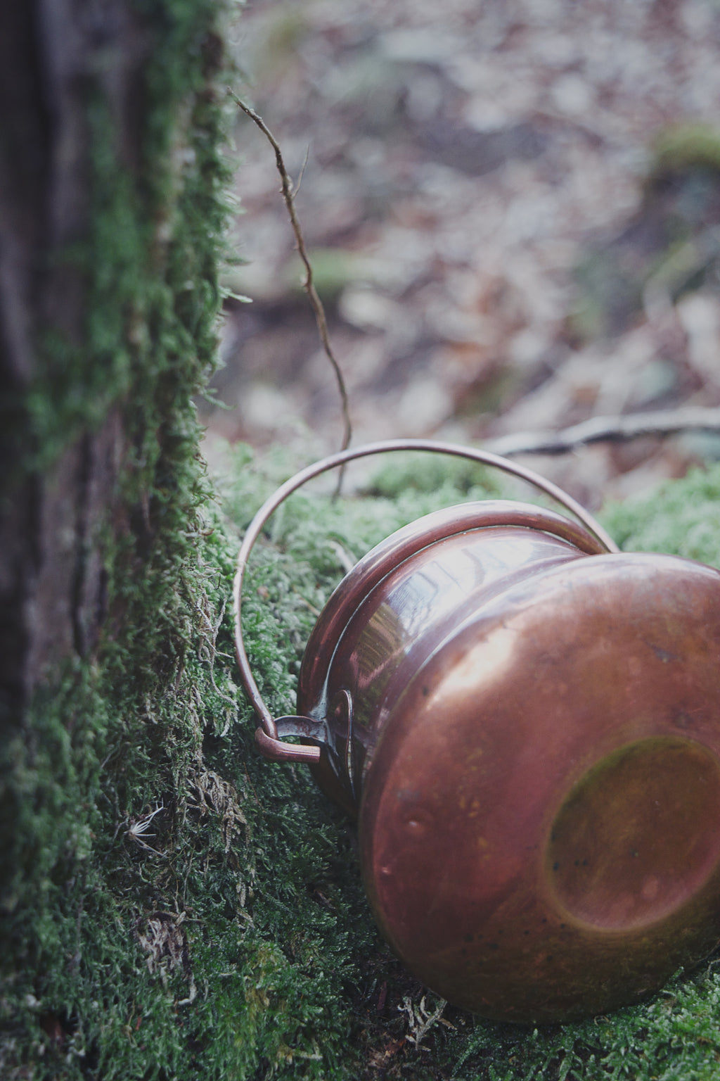 Petite French Copper Cauldron — Vintage Luxe Patina, Curved Base & Classic Tapered Form