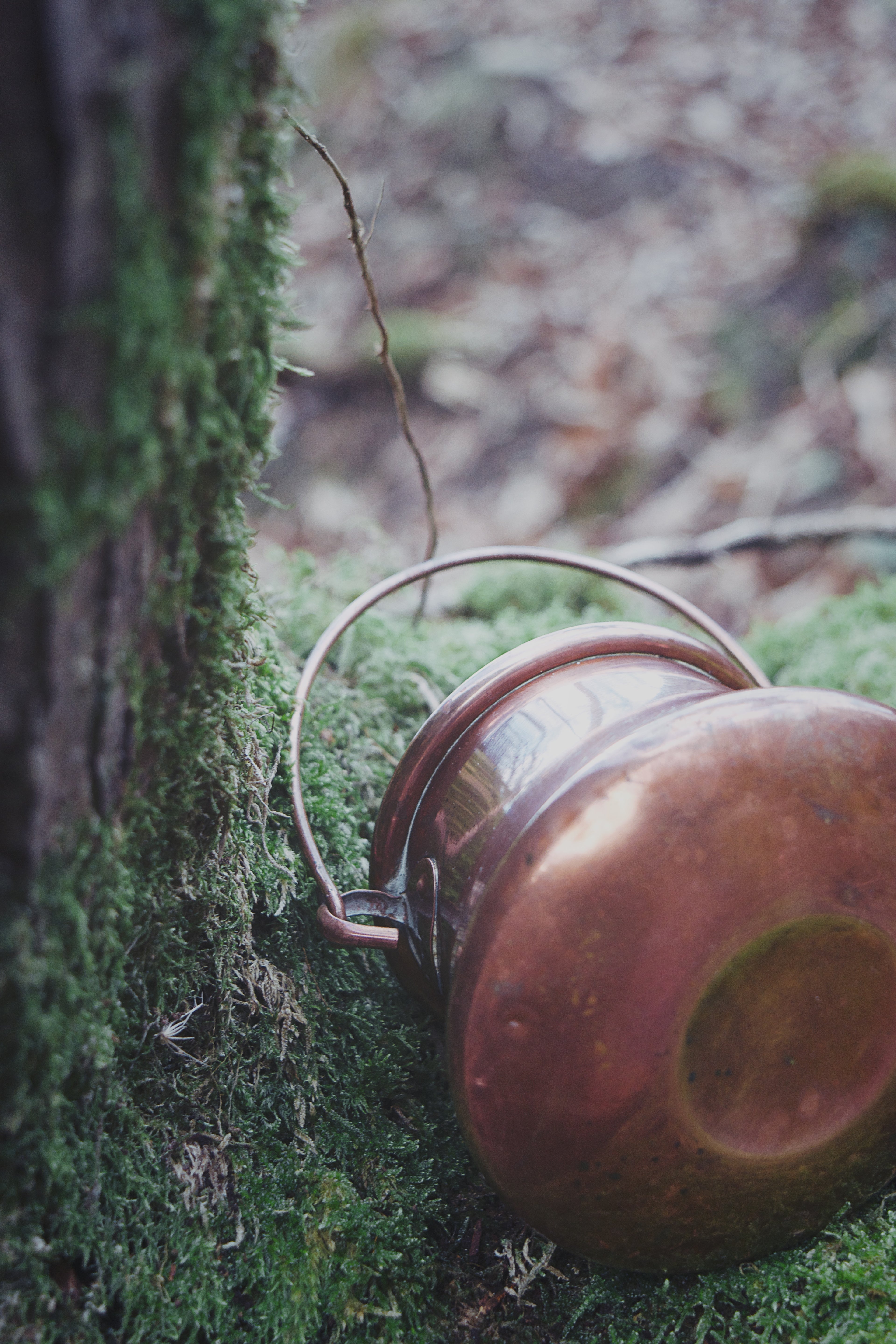 Petite French Copper Cauldron — Vintage Luxe Patina, Curved Base & Classic Tapered Form