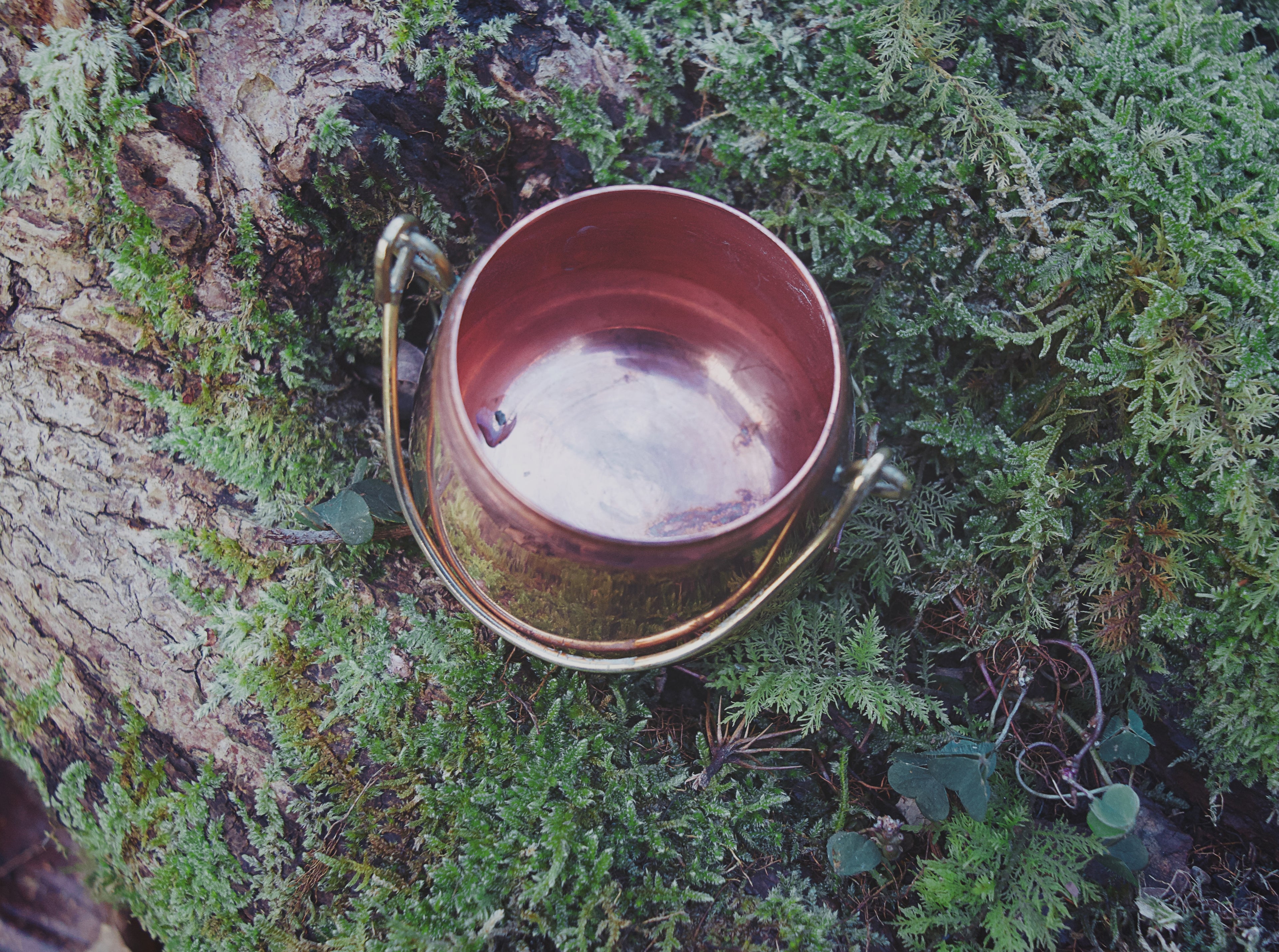 Compact Copper Hanging Cauldron with Brass Knob Lid & Black Iron Tripod — Villedieu Lineage