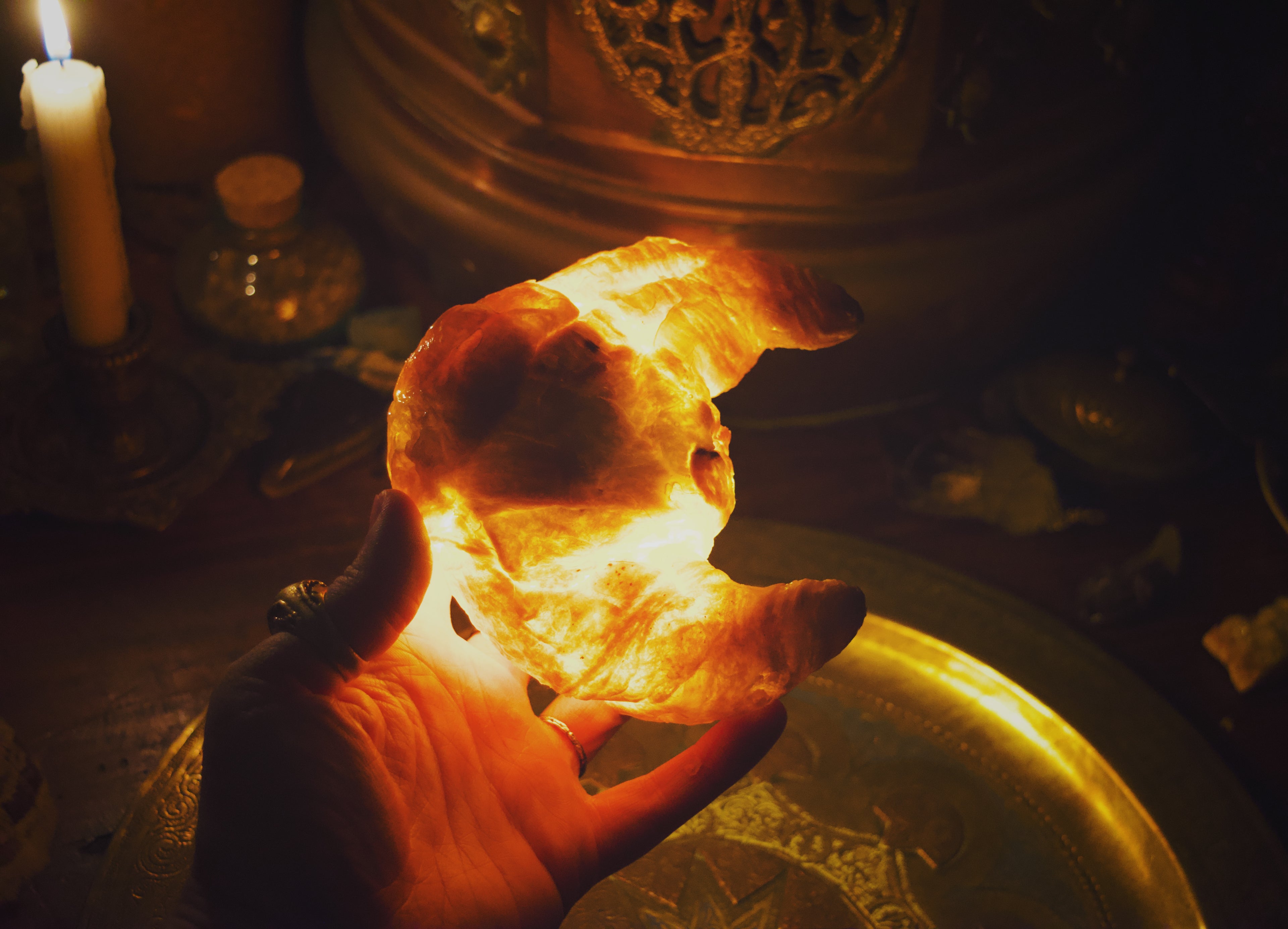 ✨🥐🌙 Lunula Crescens Croissant Lamp PRESALE 🌙🥐✨
