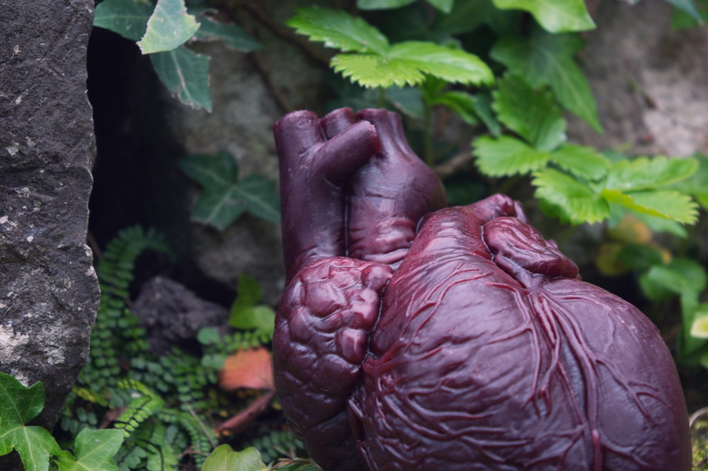 Cor Vitae Lifesized Heart Candle