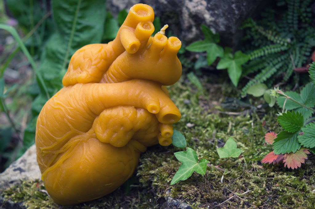 Cor Vitae Lifesized Heart Candle