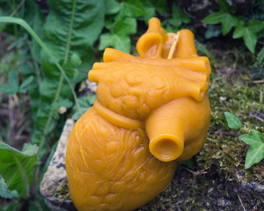 Cor Vitae Lifesized Heart Candle