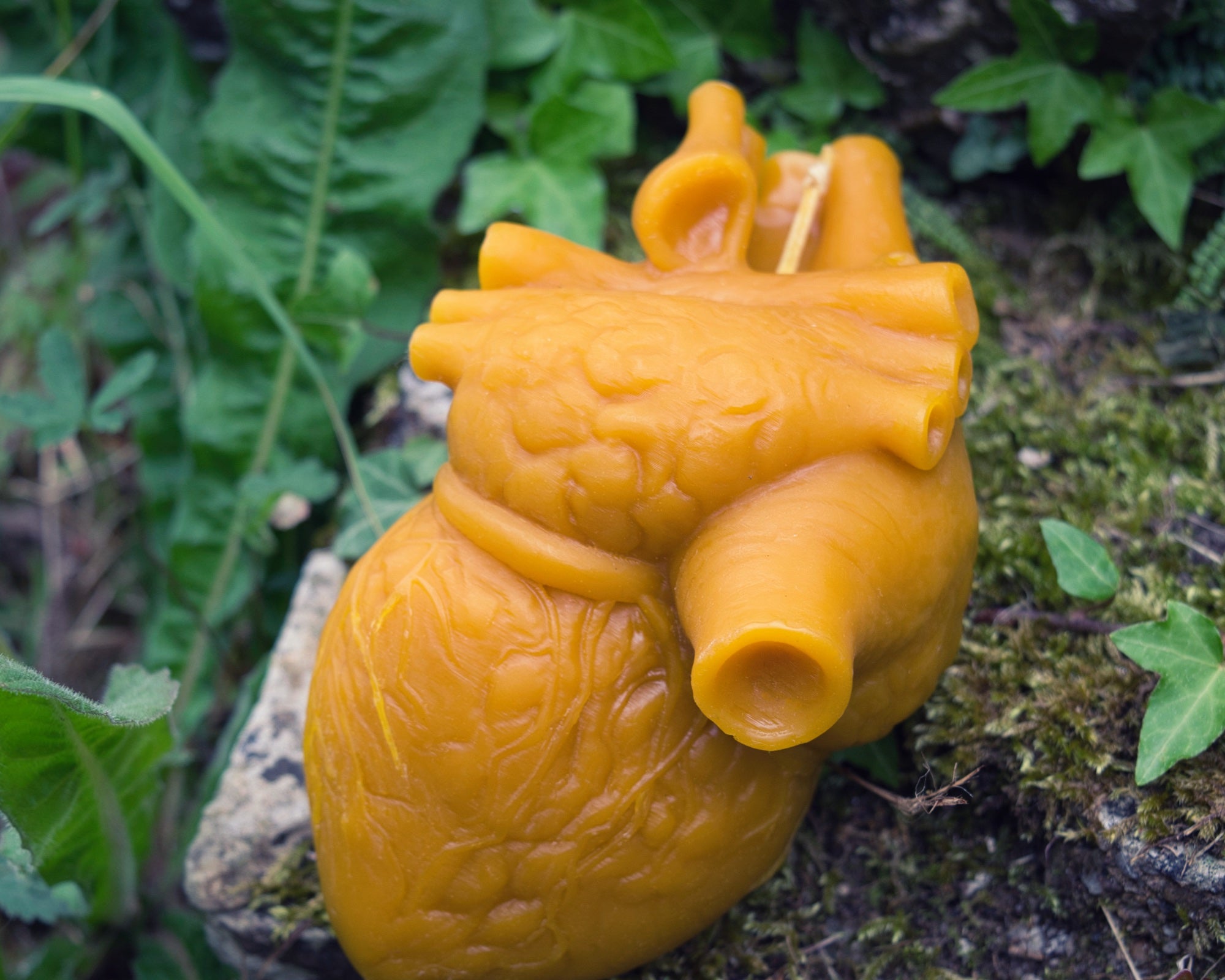 Cor Vitae Lifesized Heart Candle