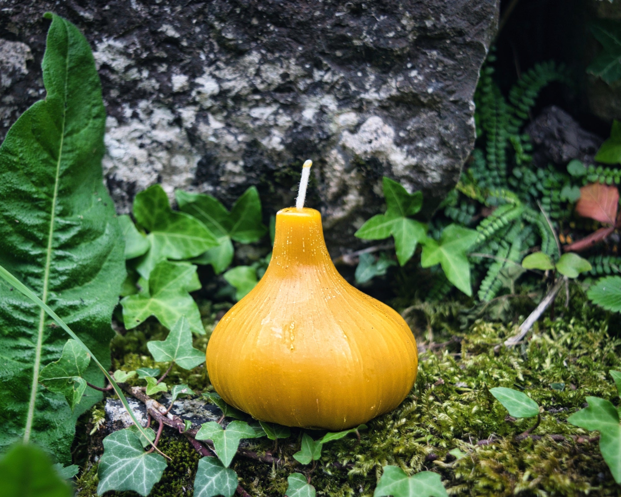 Hekate's Garlic Bulb Candle