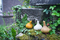 Hekate's Garlic Bulb Candle