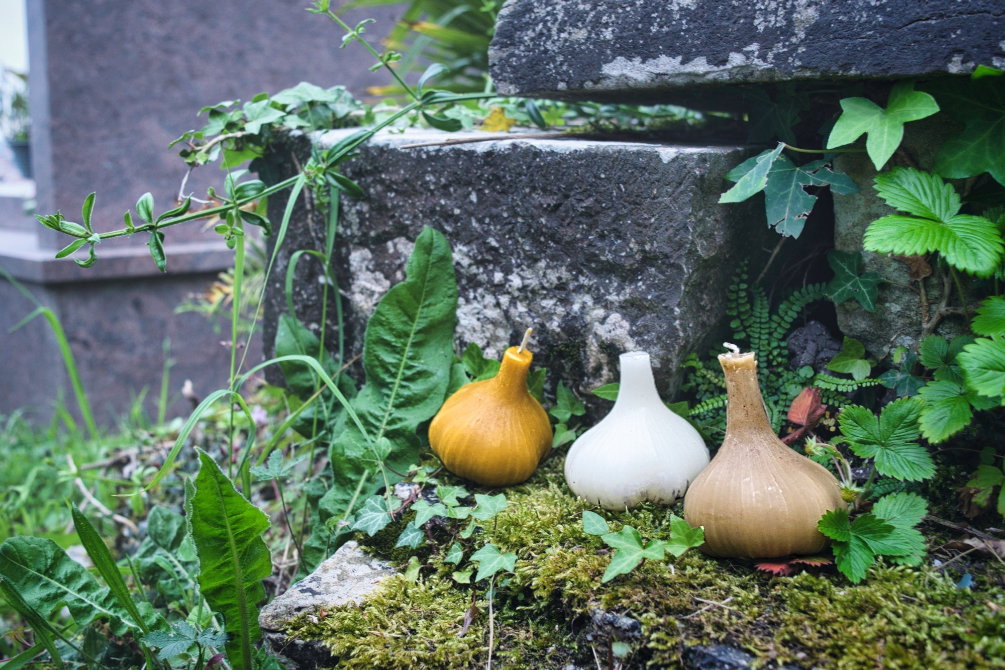 Hekate's Garlic Bulb Candle