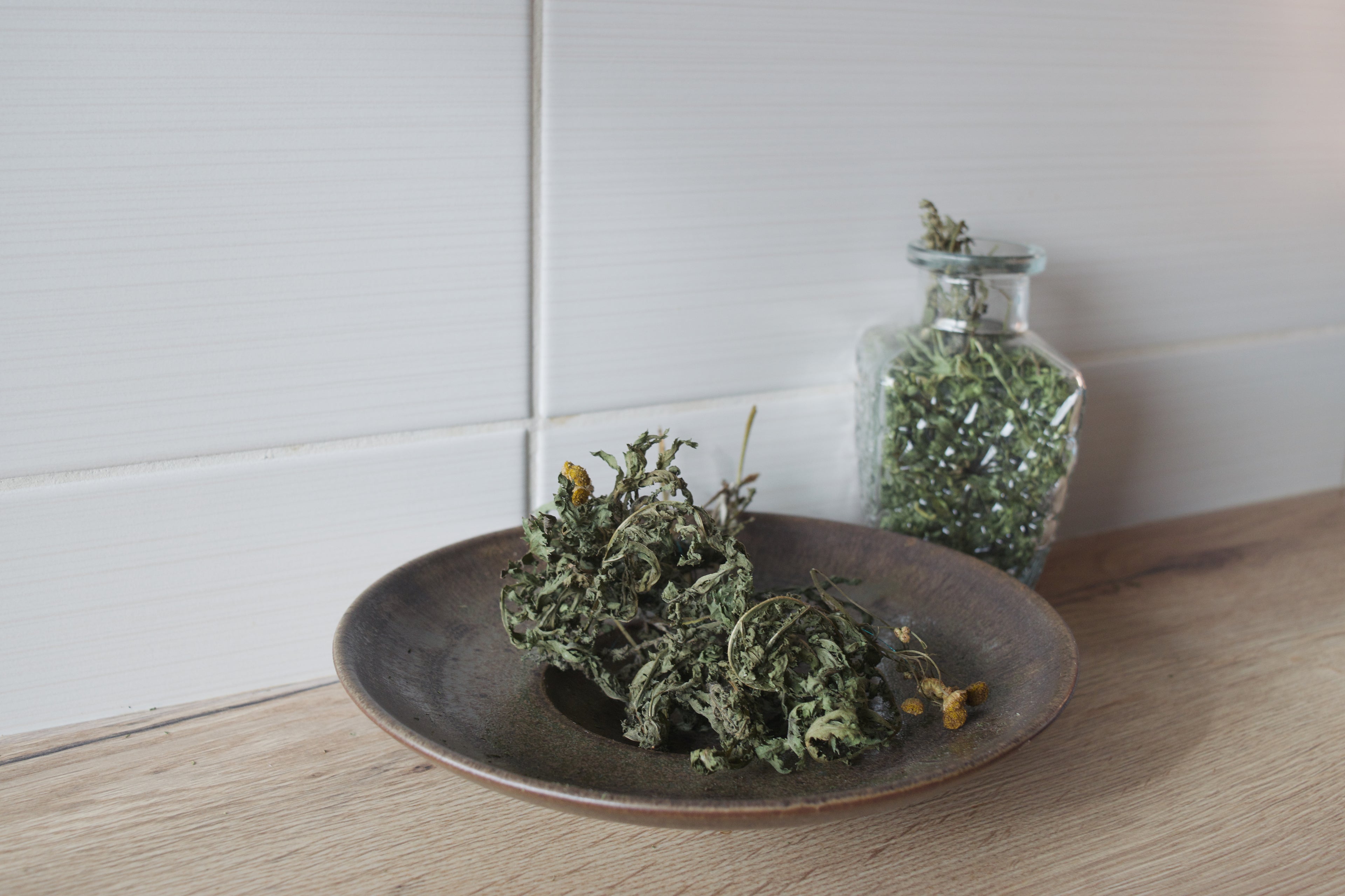 Tansy